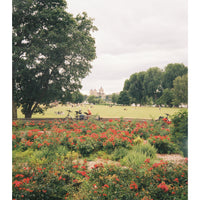 3ELF Kölender 2023 - Priba Printworks